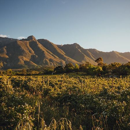 Вилла Wildebraam Berry Estate Свеллендам Экстерьер фото