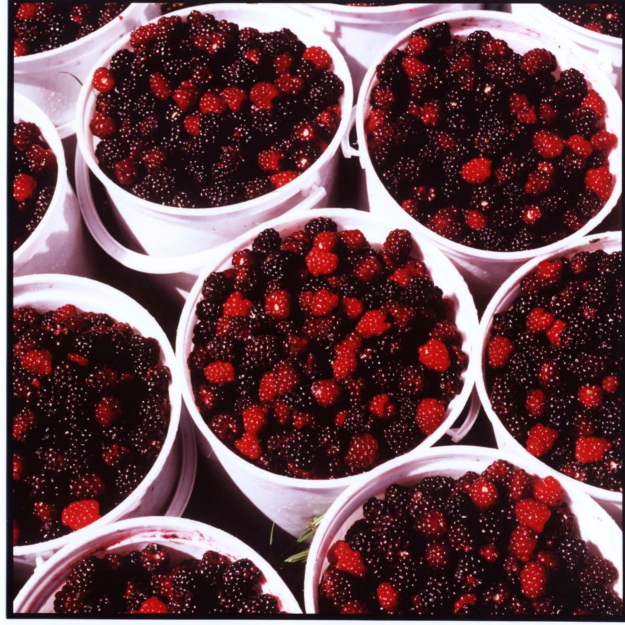 Вилла Wildebraam Berry Estate Свеллендам Экстерьер фото