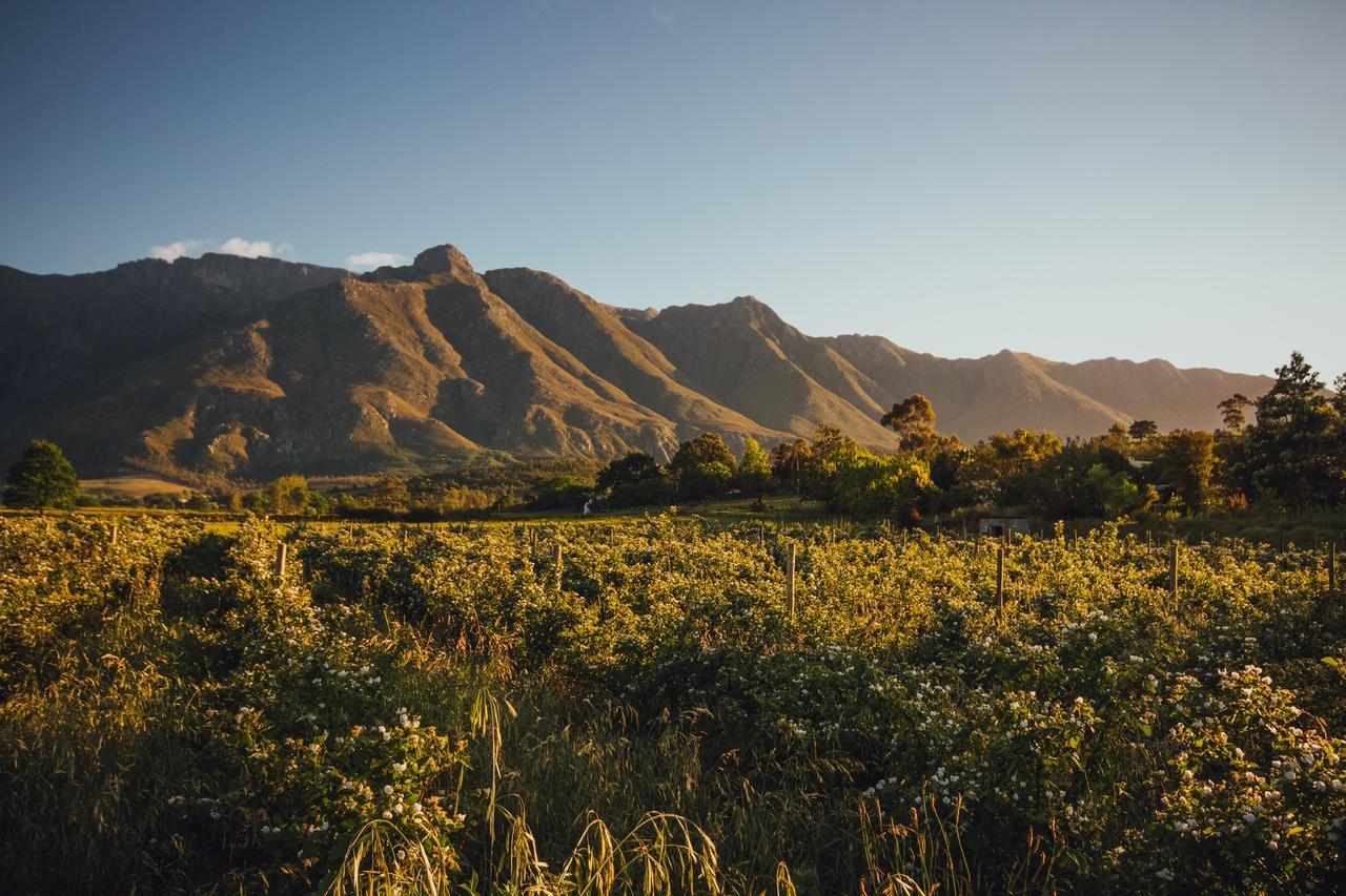 Вилла Wildebraam Berry Estate Свеллендам Экстерьер фото
