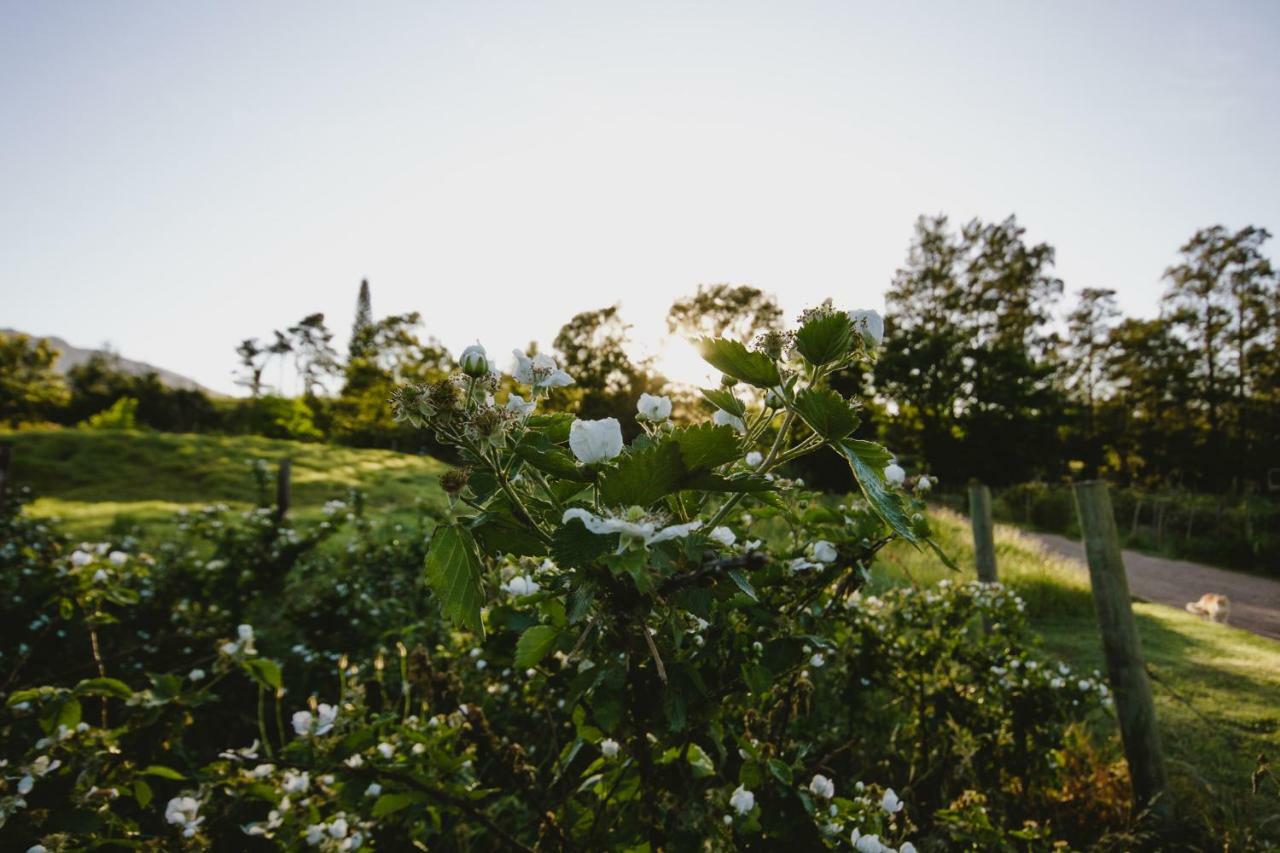 Вилла Wildebraam Berry Estate Свеллендам Экстерьер фото